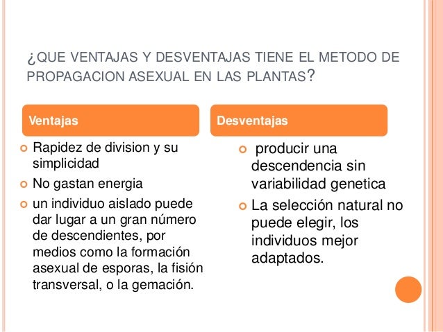 Man meets woman funny Que ventajas tiene la reproduccion sexual de las plantas